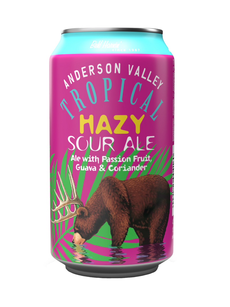 Anderson Valley Tropical Hazy Sour - 6 x 355mL