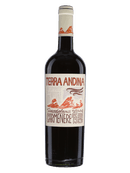 Terra Andina Carmenere